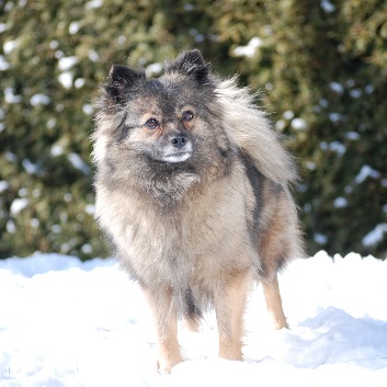 Arabella-2009-02-16