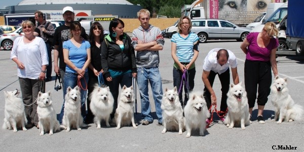 Kopie von CACIB Salzburg 2011 - weie Grospitze 2