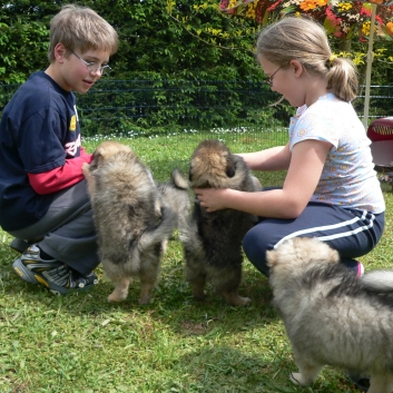 Mittelspitze von der Rosteige mit Kinder 02