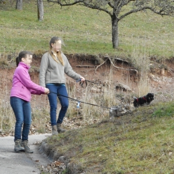 Mittelspitzwelpen U-Wurf von der Rosteige mit 9 bis 10 Wochen 05b