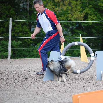 Mittelspitz Fletcher von der Rosteige beim Agility