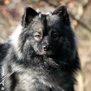 Taris_Portrait_Leucht_Januar_2013