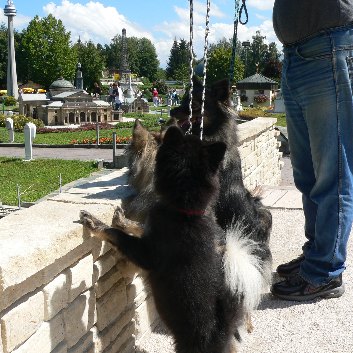 Urlaub mit Mittelspitzen in Kaernten-18