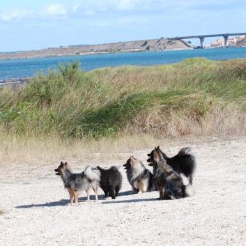 Urlaub mit Spitzen im September 2010 - 17