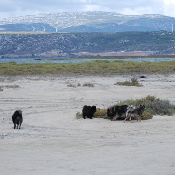 Urlaub mit Spitzen im September 2010 - 31