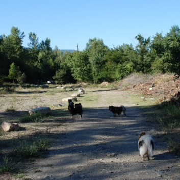 Urlaub mit Spitzen im September 2010 - 48