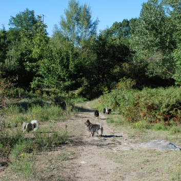 Urlaub mit Spitzen im September 2010 - 49